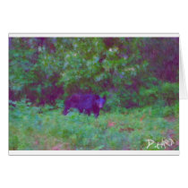 bear painting by hart cards