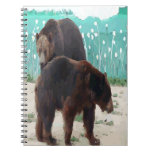 Bear Photo Notebook notebooks