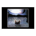 Bear Planet posters by faelittlewolf Bear Planet posters
