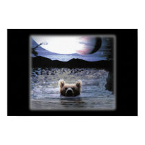 Bear Planet posters