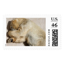 Bear postage by REDINARD Bear postage