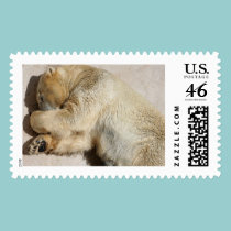 Bear postage