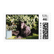 bear postage stamp