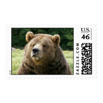 Bear Postage Stamp