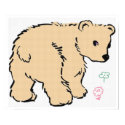 Bear Poster posters by kidsworld Bear Poster posters