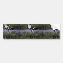 Bear River Migratory Bird Refuge Bumper Sticker