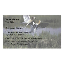 Bear River Migratory Bird Refuge Business Card Template