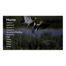 Bear River Migratory Bird Refuge Business Cards