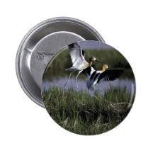 Bear River Migratory Bird Refuge Buttons