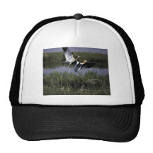 Bear River Migratory Bird Refuge Hat