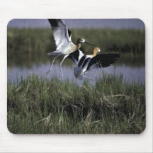 Bear River Migratory Bird Refuge Mousepad