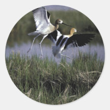 Bear River Migratory Bird Refuge Round Sticker