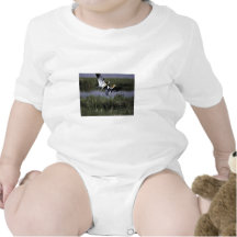 Bear River Migratory Bird Refuge T-shirt