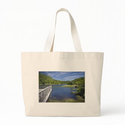 Bear River, NS Tote Bag by sruhs