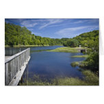 Bear River, NS Card