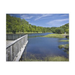Bear River, NS Post Cards