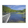 Bear River, NS Post Cards