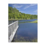Bear River, NS Post Cards