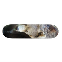 Bear Skateboard