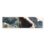 Bear Sniffing The Air In Wild Bumper Stickers