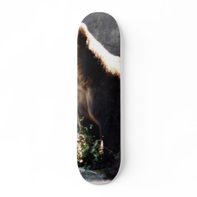 Bear Sniffing The Air In Wild Skate Board Deck by lifesphere