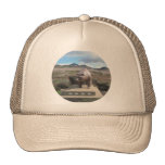 Bear Statue Guarding Los Osos on South Bay Hat