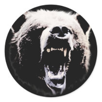 Bear Sticker