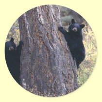 bear stickers