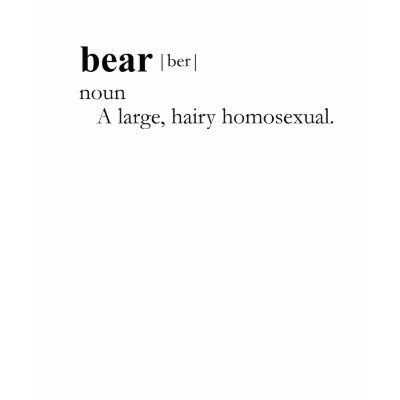BEAR T-SHIRT / Gay Slang T-shirt by gay_pride