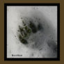 Bear Track Poster
