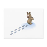 Bear Tracks Postcard
