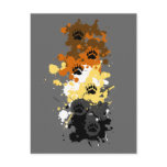 bear tracks postcards