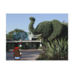 'Bear Visits Family' CA Postcard