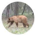 Bear With Me stickers by abrdwadc Bear With Me stickers