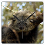 Bearcat 002 square wallclock