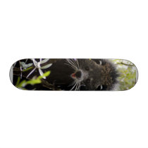 Bearcat 004 skateboards