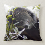 Bearcat 005 pillows