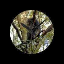 Bearcat 007 wall clocks