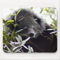 Bearcat Mousepad mousepads