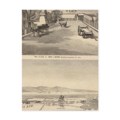 Beard res, Alvarado Salt Works Postcards by davidrumsey