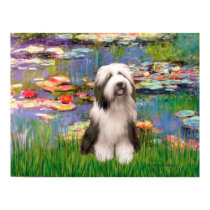 Bärtiger Collie 1 - Lilien 2 poster
