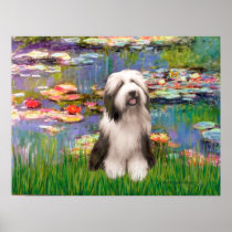 Bearded Collie 1 - Lilies 2 Poster