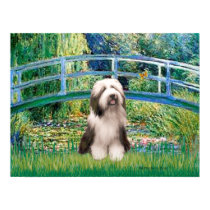 Bärtiger Collie 1 - Lilien-Teich-Brücke poster