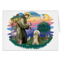 Bearded Collie (brown-cream) cards