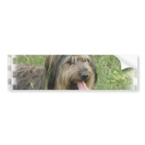 Bearded Collie Bumper Sticker