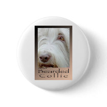 Bearded Collie Pinback Buttons
