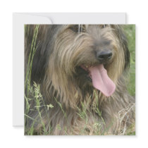 Bearded Collie Dog Invitation