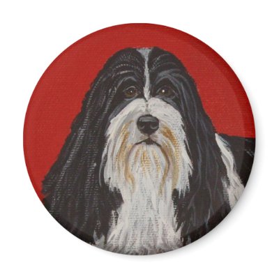 BEARDED COLLIE DOG MAGNET by daniellesoriginals