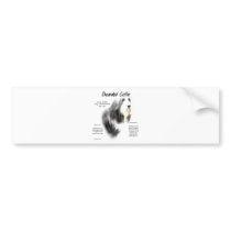 Bearded Collie History Design Bumper Sticker