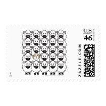 Bearded Collie in the Sheep Stamp